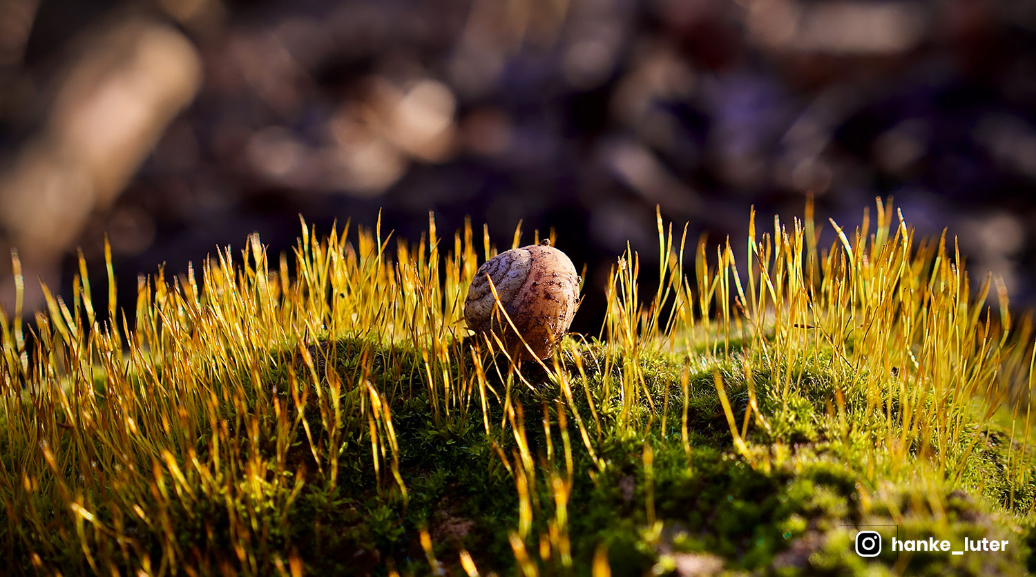 Cos cadou Osaka 4 produse